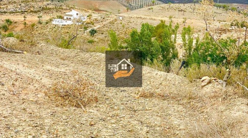 Almería - Vélez-Rubio - 7000m2