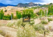 Non-developable land for sale in Vélez-Rubio ref: TR109504 photo