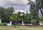 Finca rústica en venda a Vélez-Rubio ref.: TR185563 foto