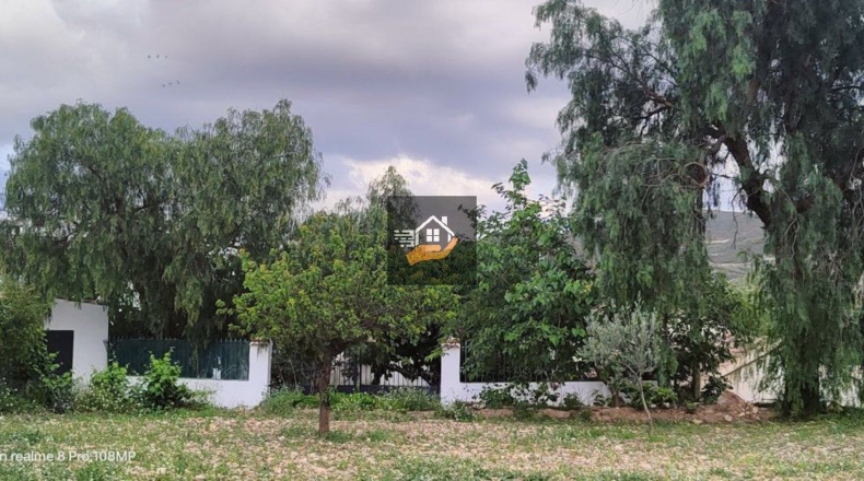 Almería - Vélez-Rubio - 20000m2