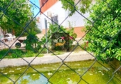 Chalet independiente con terreno en venta en Vélez-Rubio ref: TR111632 foto