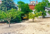 Chalet independiente con terreno en venta en Vélez-Rubio ref: TR111632 foto