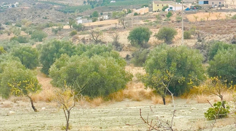 Almería - Vélez-Rubio - 240m2