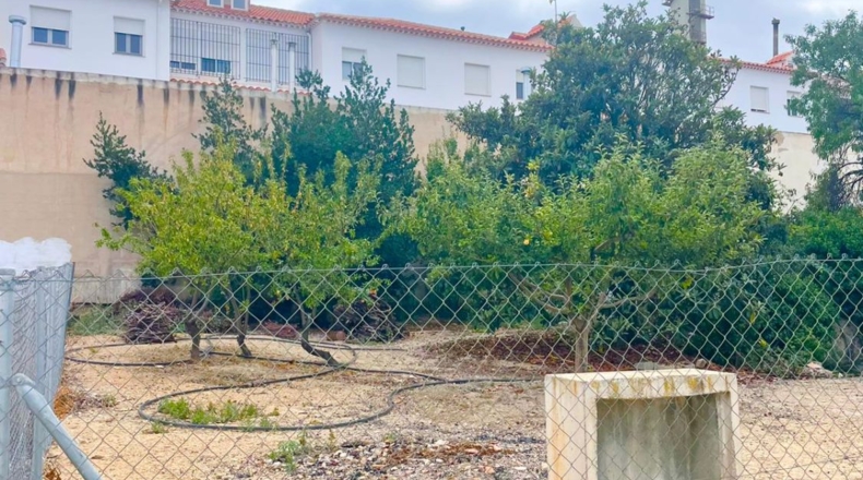 Almería - Vélez-Rubio - 240m2
