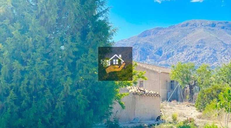 Almería - Chirivel - 20000m2