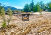 Rural estate for sale in Chirivel ref: TR185558 photo