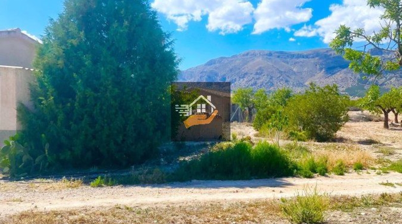Almería - Chirivel - 20000m2