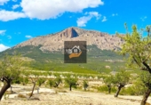 Rural estate for sale in Chirivel ref: TR185558 photo