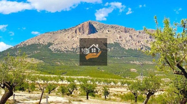 Almería - Chirivel - 20000m2