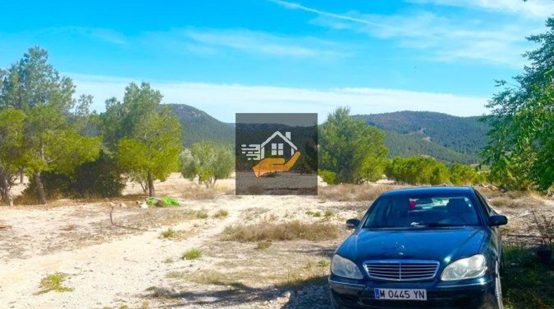 Almería - Chirivel - 20000m2