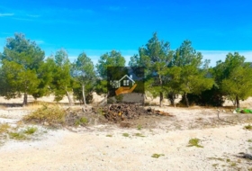 Foto 13