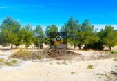 Rural estate for sale in Chirivel ref: TR185558 photo