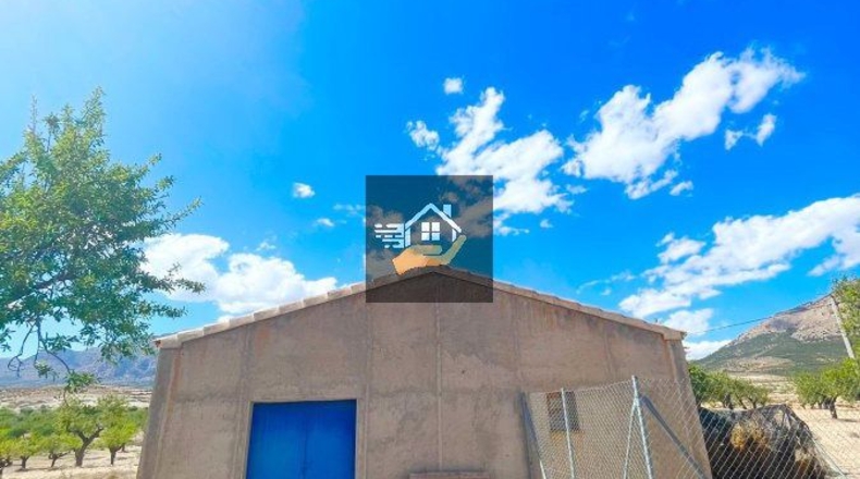 Almería - Chirivel - 20000m2