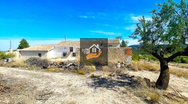 Almería - Chirivel - 20000m2