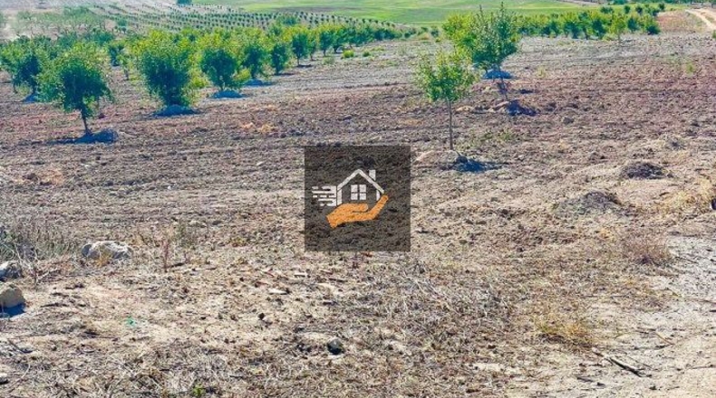 Almería - Chirivel - 4830m2