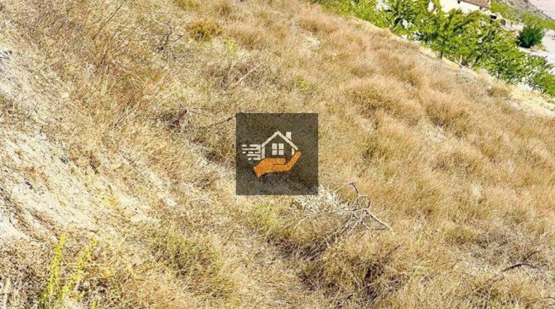 Almería - Chirivel - 4830m2