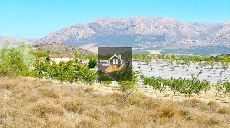 Almería - Chirivel - 4830m2