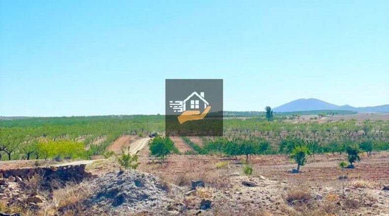 Almería - Chirivel - 4830m2