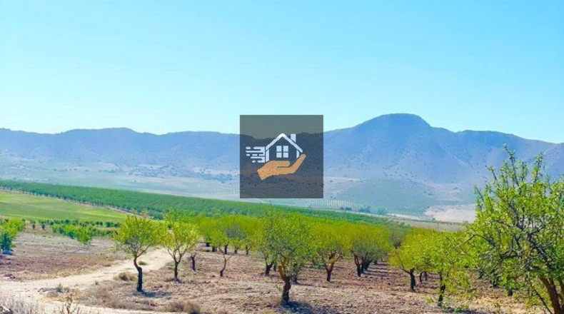 Almería - Chirivel - 4830m2