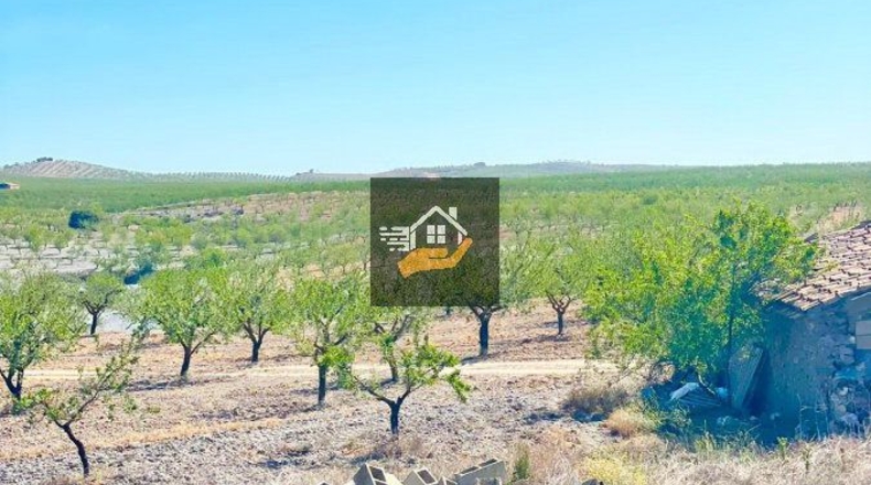 Almería - Chirivel - 4830m2