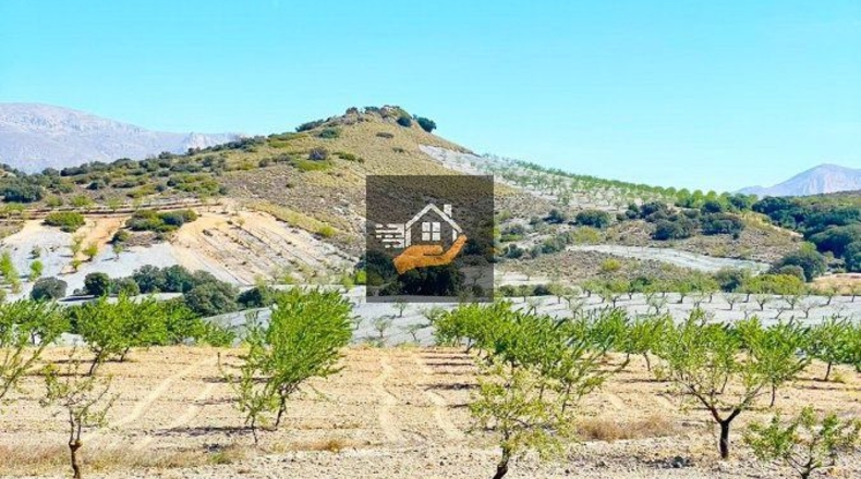 Almería - Chirivel - 4830m2