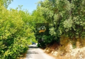 Rural estate for sale in Vélez-Blanco ref: TR189782 photo
