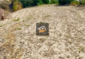 Rural estate for sale in Vélez-Blanco ref: TR189782 photo