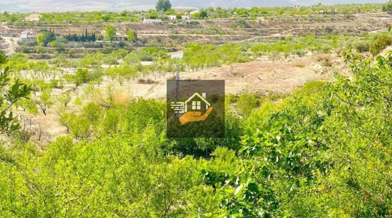 Almería - Vélez-Blanco - 15000m2