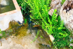 Foto 12
