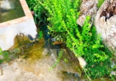 Rural estate for sale in Vélez-Blanco ref: TR189782 photo