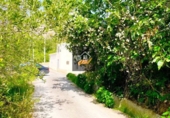 Rural estate for sale in Vélez-Blanco ref: TR189782 photo