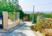 Rural estate for sale in Vélez-Blanco ref: TR189782 photo