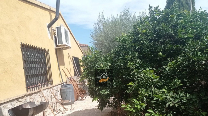 Murcia - Murcia - 3750m2
