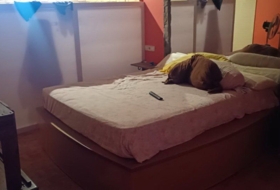 Foto 8