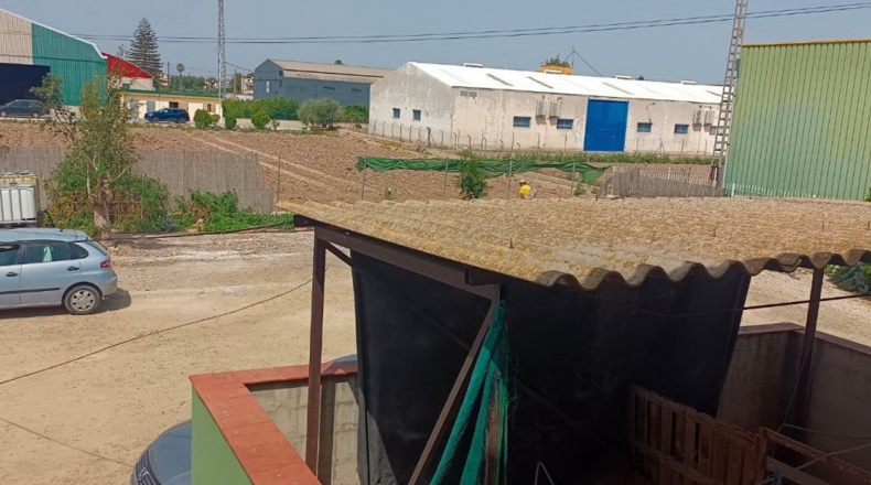 Murcia - Murcia - 2300m2