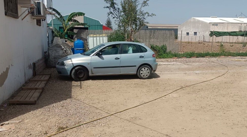 Murcia - Murcia - 2300m2