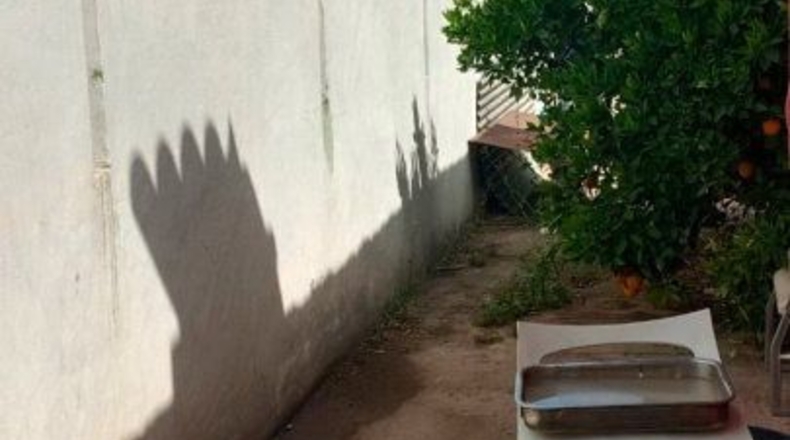 Murcia - Murcia - 2300m2