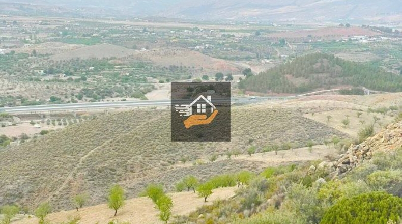 Almería - Vélez-Rubio - 290000m2