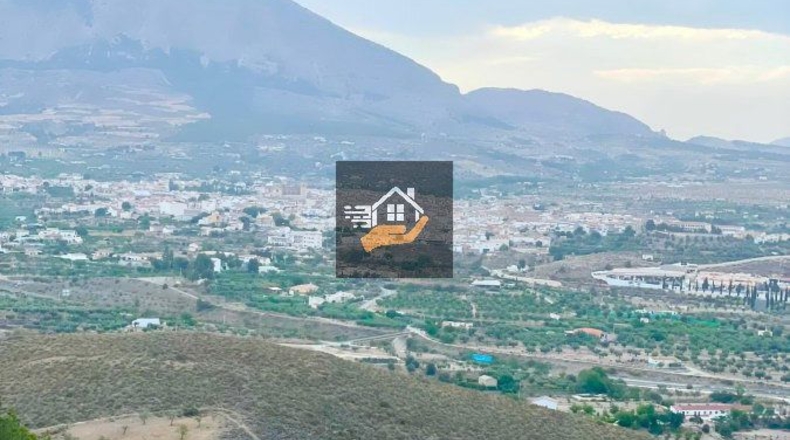 Almería - Vélez-Rubio - 290000m2