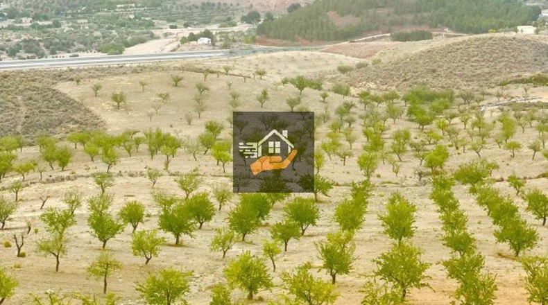 Almería - Vélez-Rubio - 290000m2