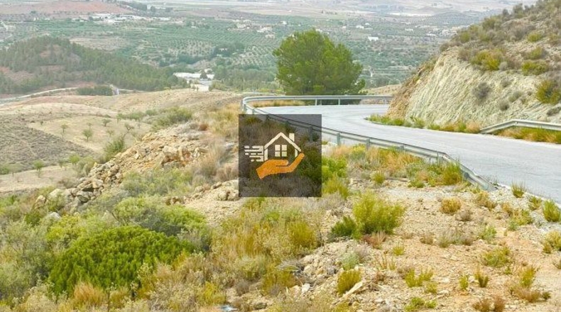 Almería - Vélez-Rubio - 290000m2