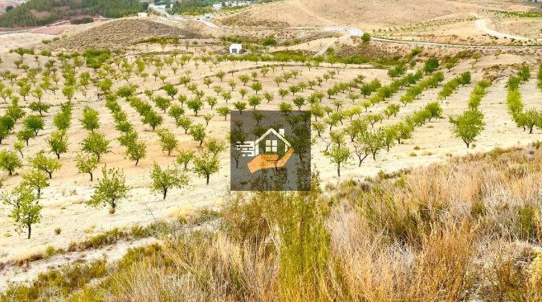 Almería - Vélez-Rubio - 290000m2