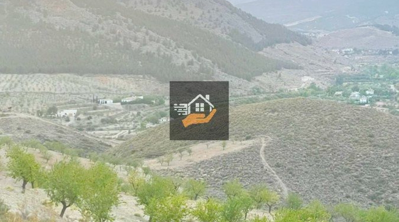 Almería - Vélez-Rubio - 290000m2