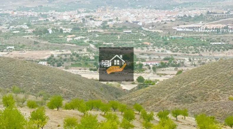 Almería - Vélez-Rubio - 290000m2