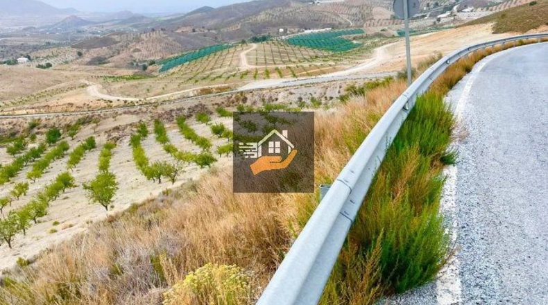 Almería - Vélez-Rubio - 290000m2
