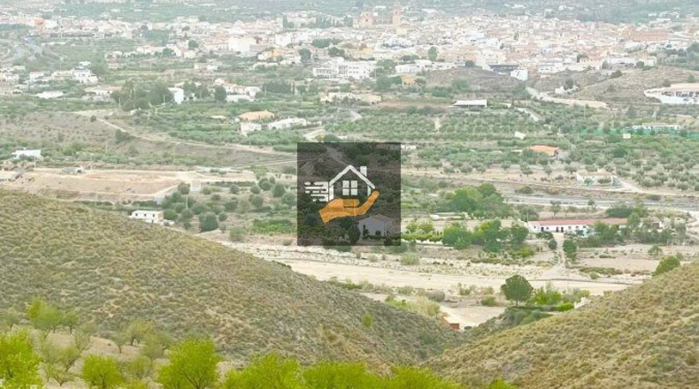 Almería - Vélez-Rubio - 290000m2