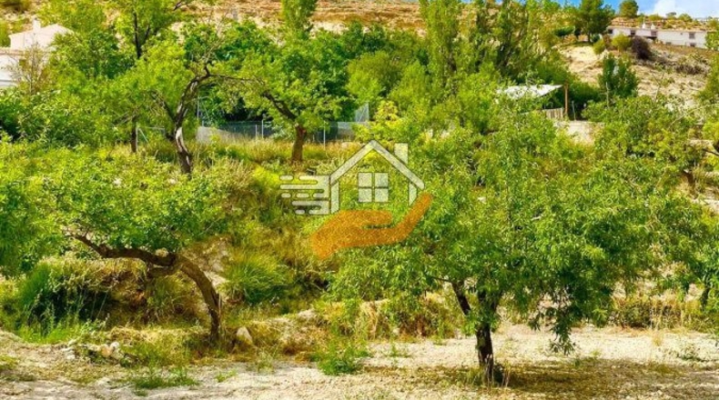 Almería - Topares - 5000m2