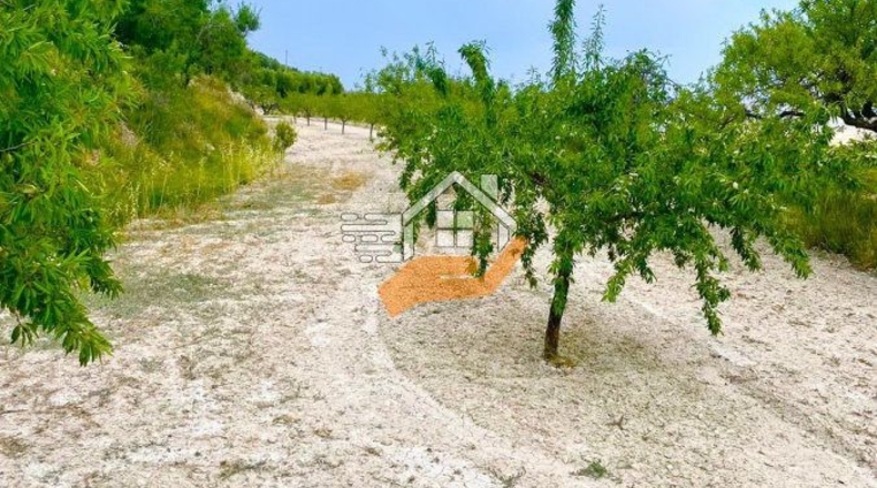 Almería - Topares - 5000m2