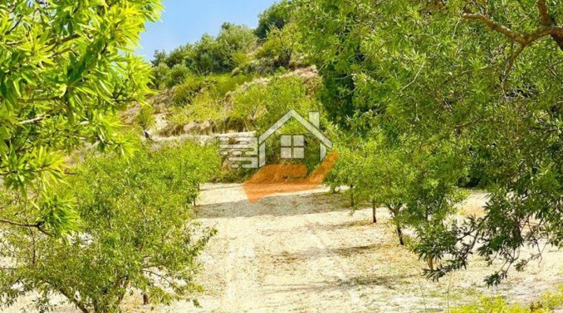Almería - Topares - 5000m2