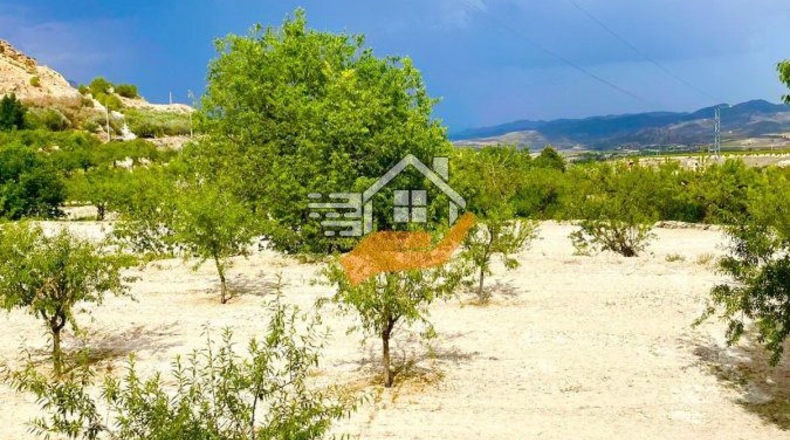 Almería - Topares - 5000m2